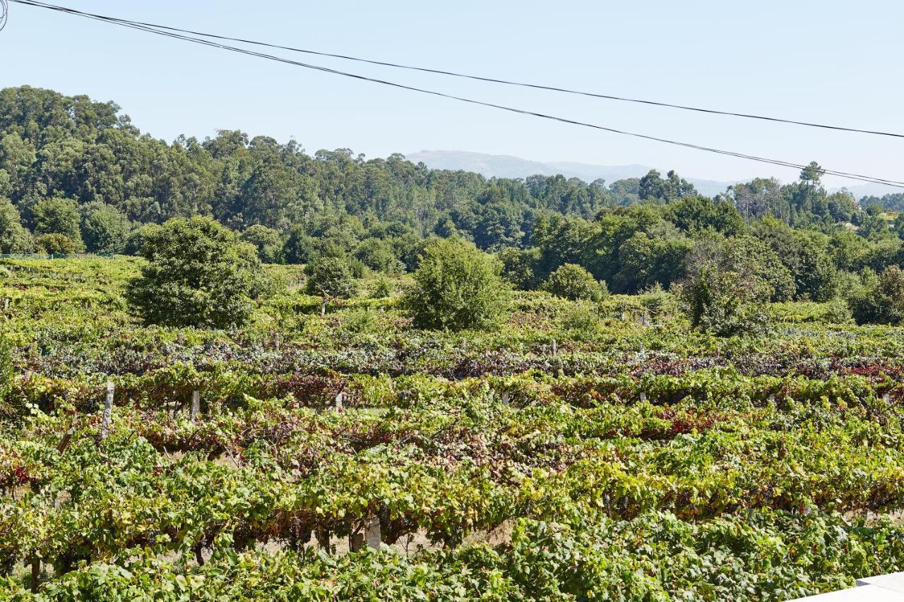 Gandara Chalet Salvatierra de Mino 外观 照片